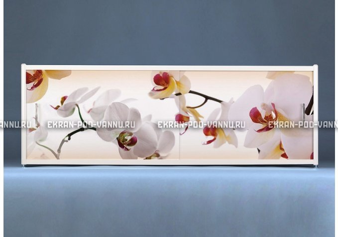Раздвижной ФОТО экран - Orchid – купить по цене 8500 руб. в интернет-магазине в городе Тула картинка 1