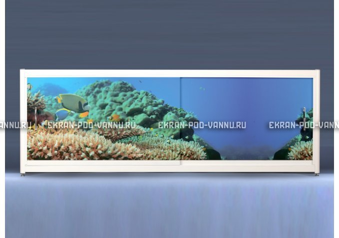 Экран на роликах EUROPLEX Коралловые рифы – купить по цене 12400 руб. в интернет-магазине в городе Тула картинка 1